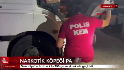 Osmaniye'de tırda 6 kilo 750 gram skunk ele geçirildi