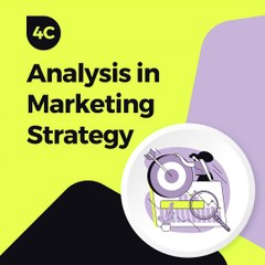 09 - Analysis in Marketing Strategy