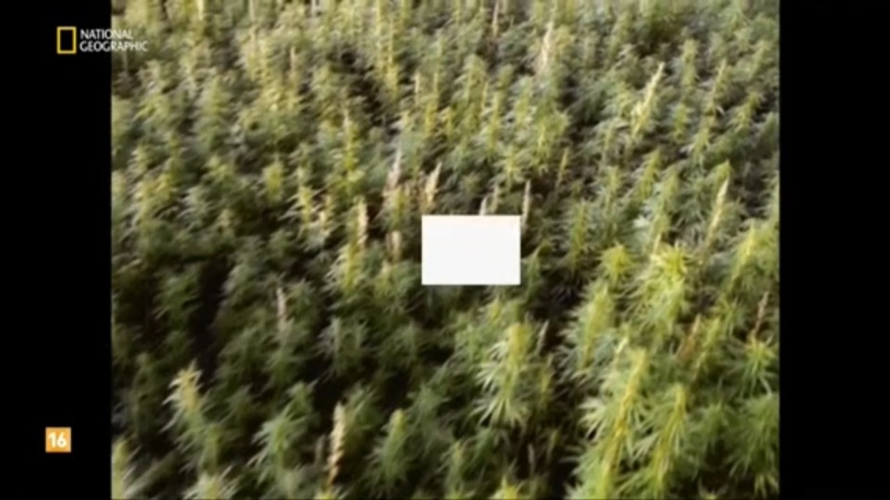 GUERRAS DE NARCOS 2- EL PRIMER CARTEL DE MEXICO