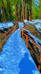 Experience the Magic of Kumrat Valley This Winter!