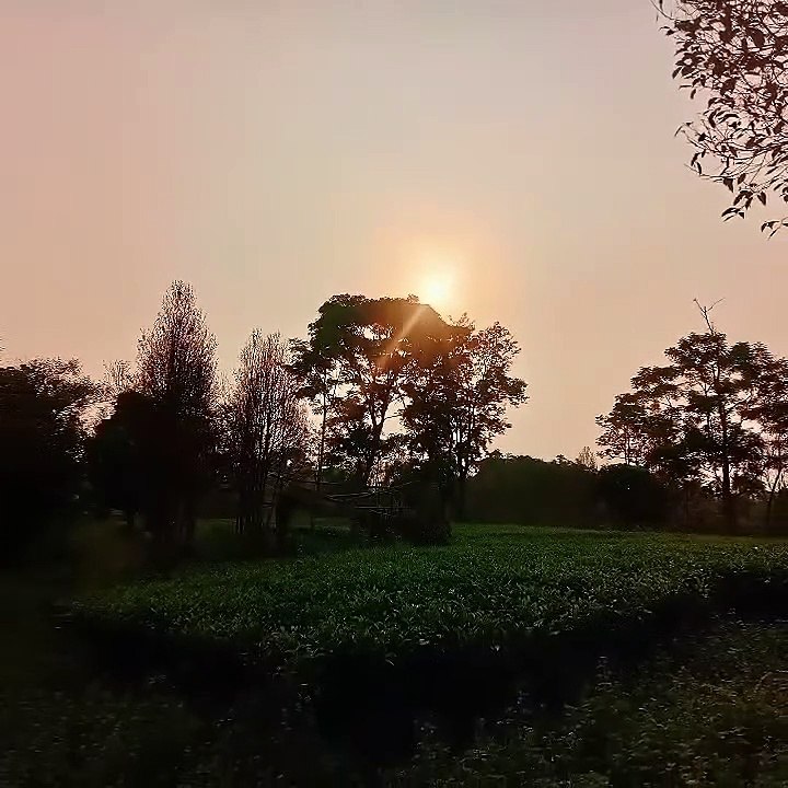 1000051771