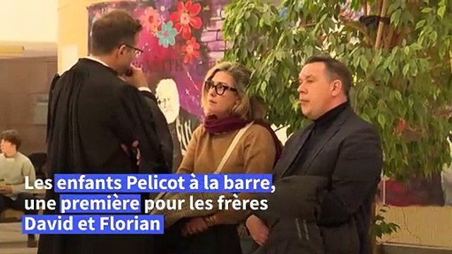 Procès des viols de Mazan : les frères Pelicot témoignent à la barre