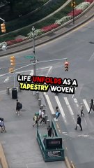 Life's Tapestry_ Wisdom vs. Ignorance