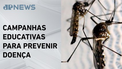 Dia Nacional de Combate à Dengue mobiliza ações em todo Brasil