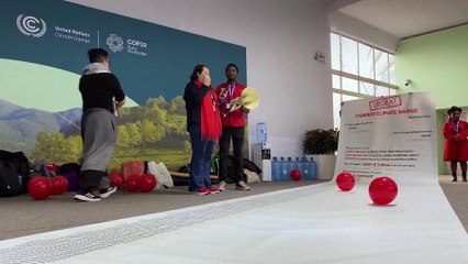 No Comment : COP29, "le déni face à l'urgence climatique"