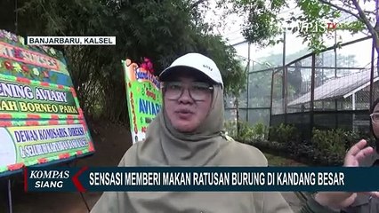 Amanah Borneo Park Beri Pengalaman Belajar dan Memberi Makan Ragam Spesies Burung
