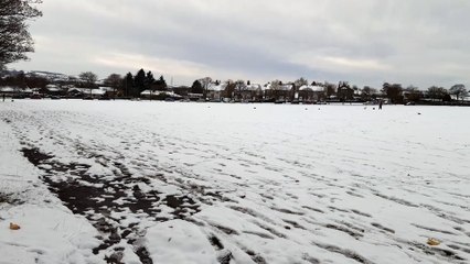 Snow in Halifax