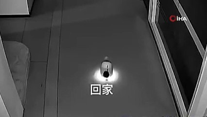 Çin’de Küçük Bir Robot, 12 Robotu Kaçırdı