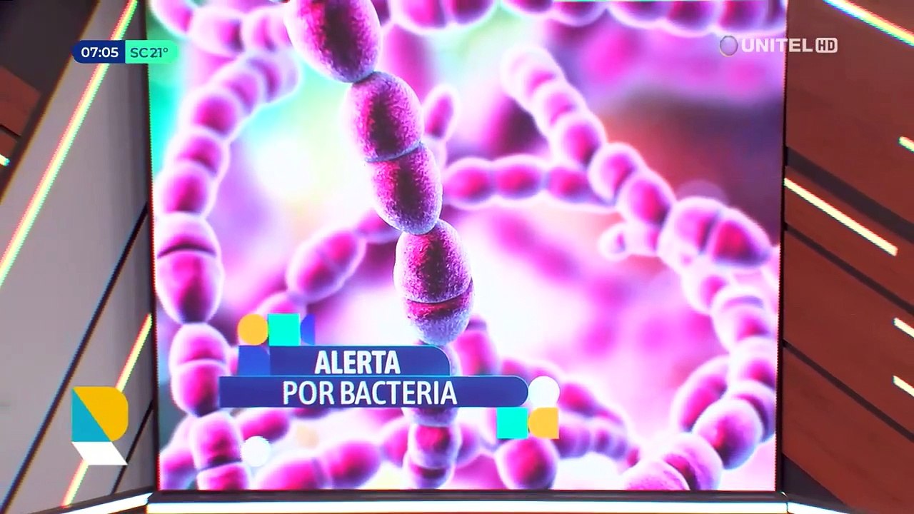 Sedes aclara que no se han reportado más casos de la bacteria Streptococcus y pide a la población no alarmarse