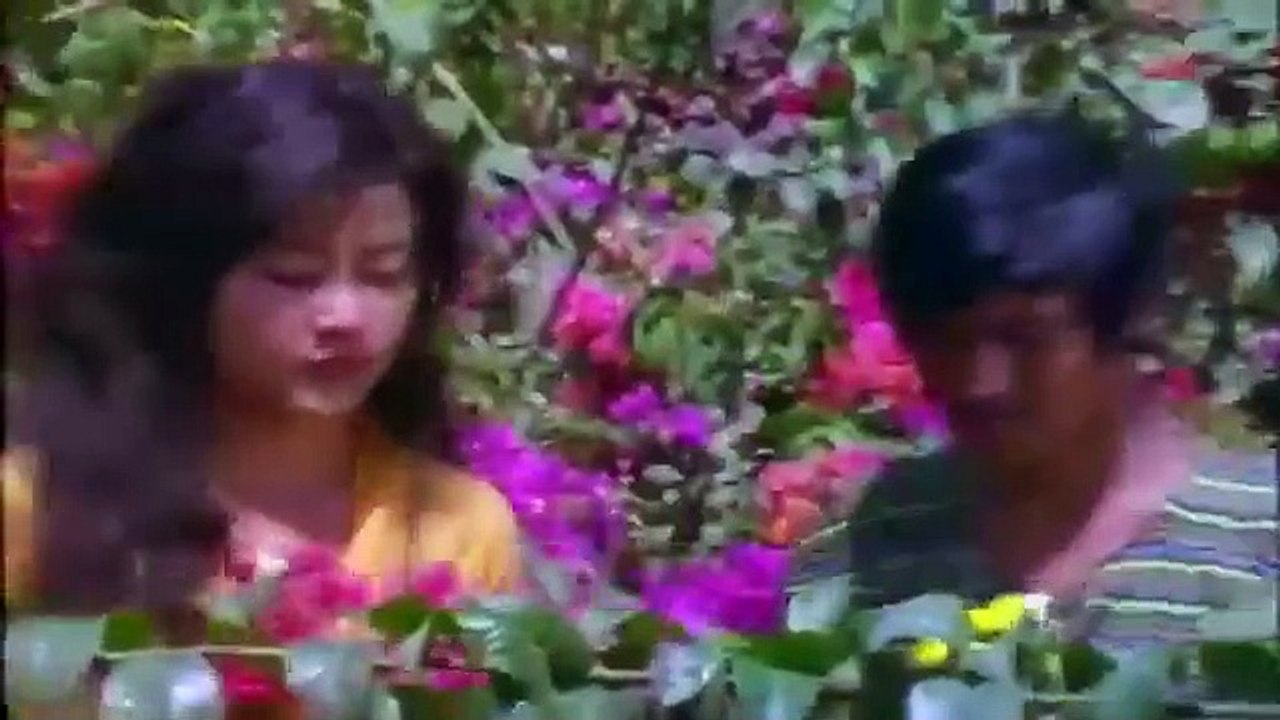 Mistery 8 Pendekar (1977)