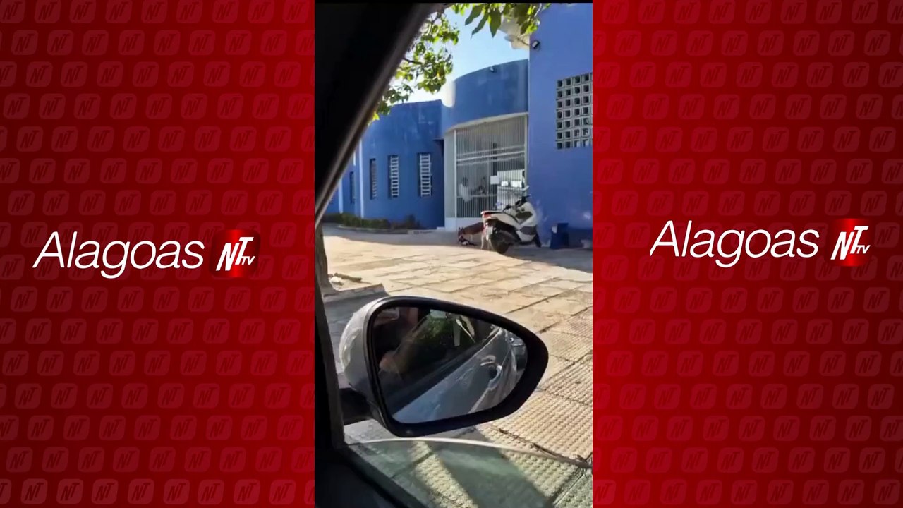 Polícia Civil investiga ataque de cães Bull Terrier a gato no Bairro da Serraria, em Maceió