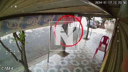 Video: ¡Nos robó a nuestra mascota! Un hombre fue grabado llevándose a un perro