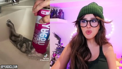 Most Oddly Satisfying Video to watch before sleep