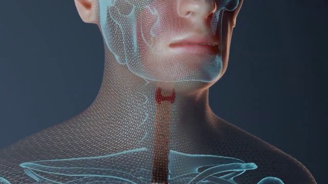 COMPLETE Human Anatomy in 1 Hour! A to Z 3D Human Body Organ Systems