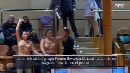 La protesta de Femen en el Senado a favor del aborto