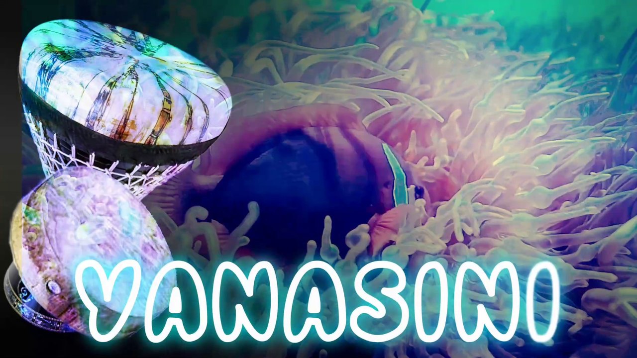 🎶 YANASINI - art orchestral - HUSSEIN ELMASRY