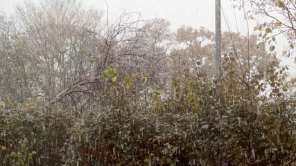 Wales sees the first snow of winter