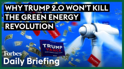 What Donald Trump's Presidency Means For The Green Energy Sector