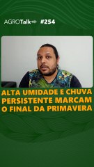 Período Chuvoso: Alta umidade e chuva persistente marcam o final da primavera e início do verão no Brasil