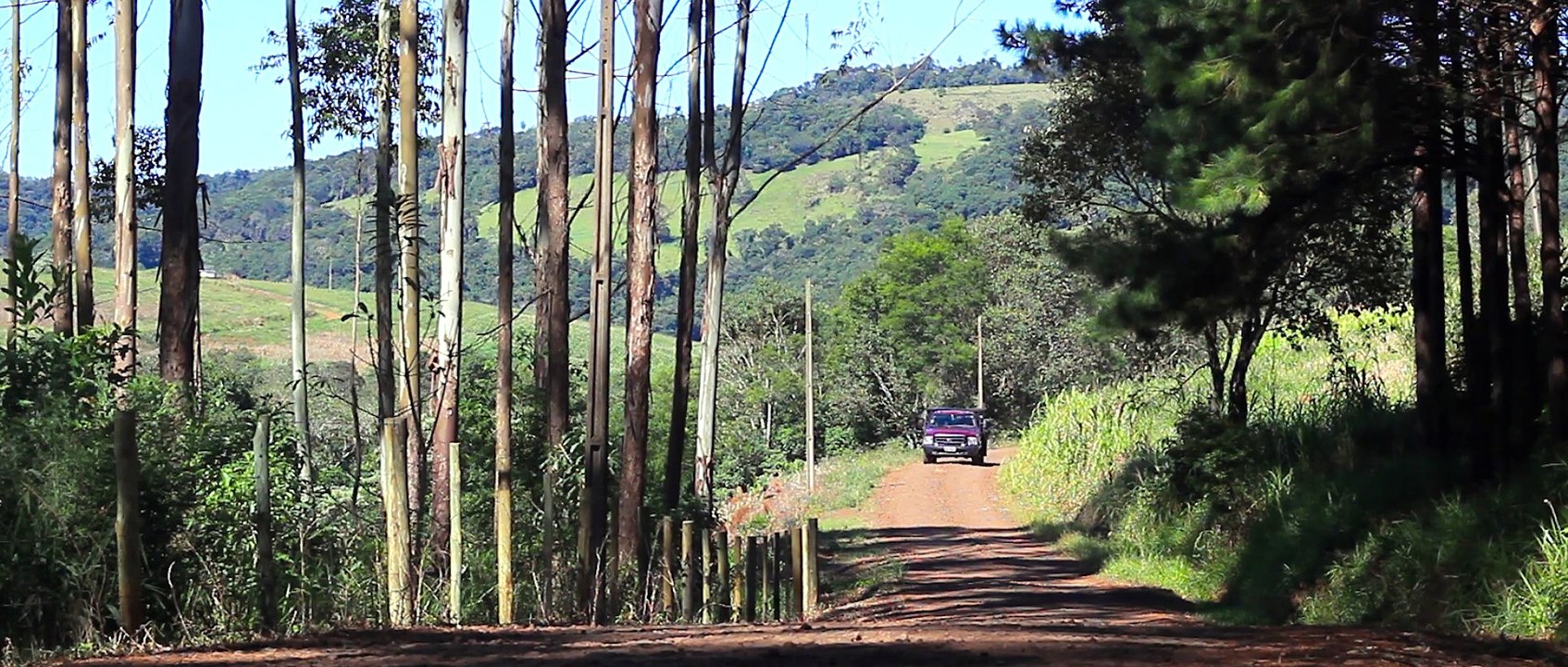 O SELVAGEM (um curta-metragem sobre o Saci-pererê)