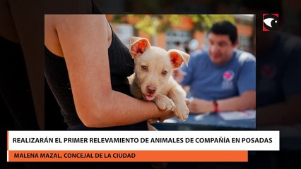 Realizarán el primer relevamiento de animales de compañía en Posadas