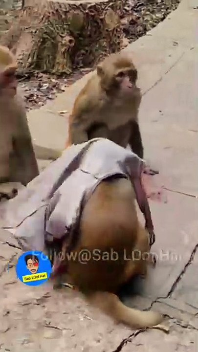 kitni thand ho rhi #dailymotion