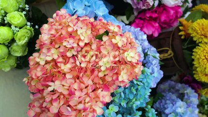 how to get tons of followers on dailymotion