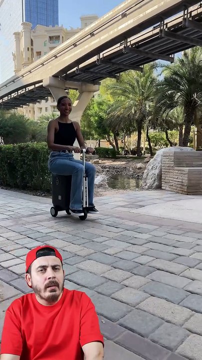 Scooter suitcase
