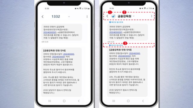 금감원 사칭 문자?... 안심 마크 확인하세요 / YTN