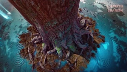 24. Rattan (Si Teng), en español