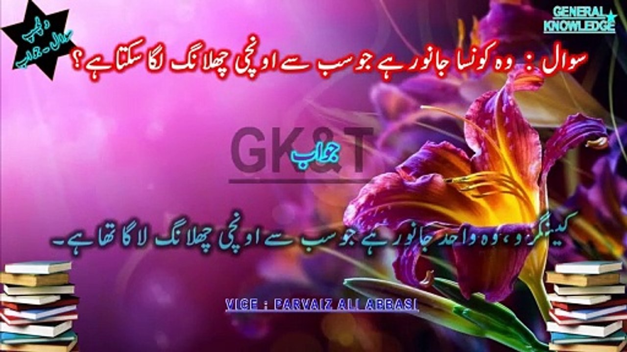 Mind-Blowing Facts: The Animal That Lays a Million Eggs & More Surprises! 🌍 Urdu/Hindi 2024-2025
