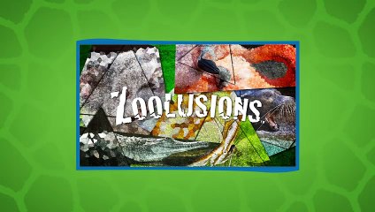 This Animal Quiz Is Harder Than It Looks! Take It With Us!