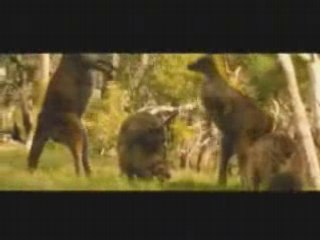 ....EXTRAIT  BANDE ANNONCE  Les animaux amoureux