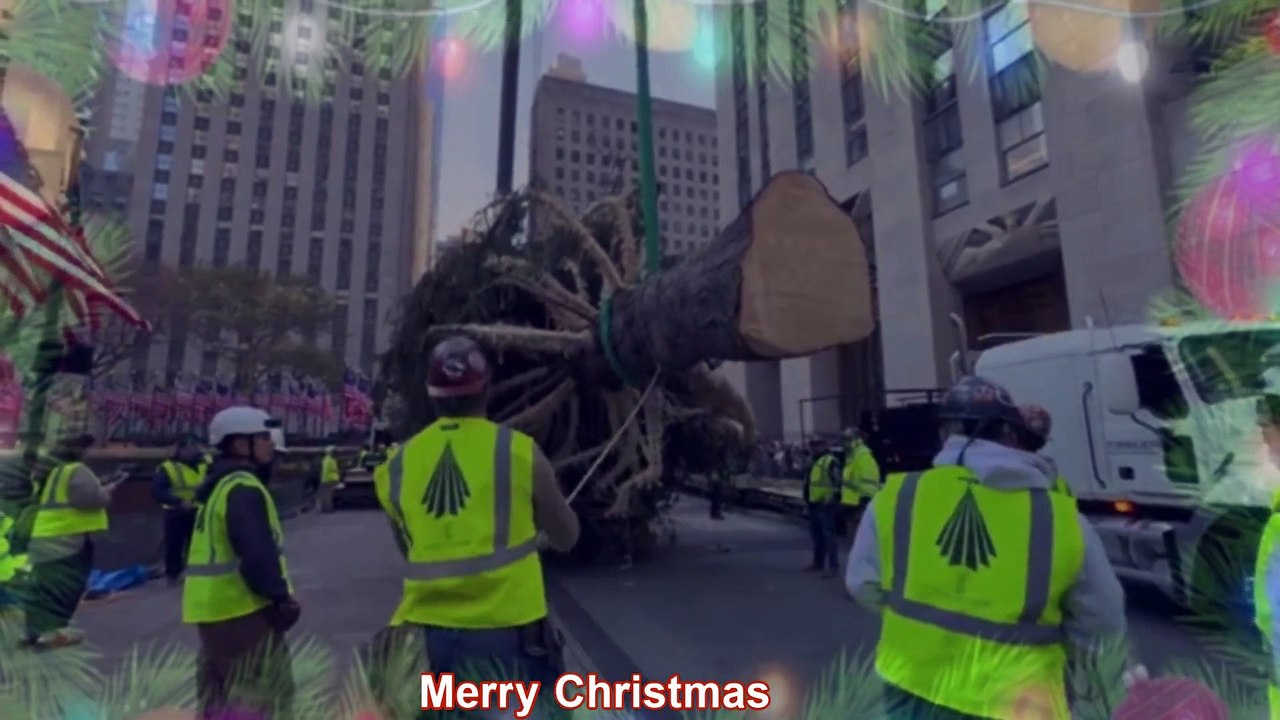 new york christmas tree
