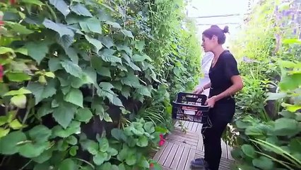 Quand Paris cache des jardins secrets sur ses toits - Documentaire - AMP