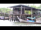 Mangroves Krabi thailande