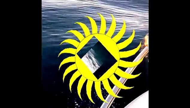 le monde des dauphins corse du sud par murphi6666