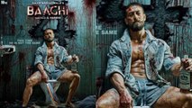 Baaghi 4 movie office trailer 2024 / bollywood new hindi movie / G.N channel