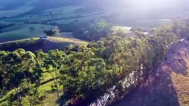 Ce sont les méthodes de torture les plus brutales des cartels mexicains