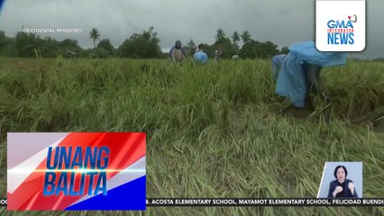 Dagdag na P1B quick response fund, hiniling ng D.A. para matulungan ang mga magsasaka at mangingisda | Unang Balita