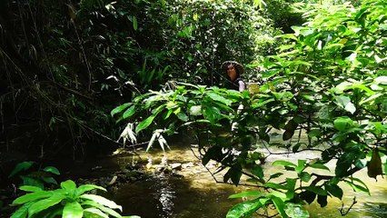 EP.156 - Abrigo de sobrevivência durante a noite, comida selvagem