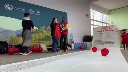 Cop29, gli attivisti chiedono di agire di fronte all'emergenza climatica