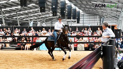 Jess Smith Demonstrates the Versatility of Australian Stock Horses at Equitana 🐎