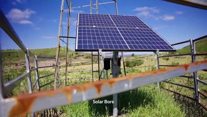 Oakhurst, Cooyar, Qld | November 20, 2024 | Farmonline