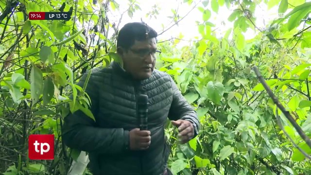 Pobladores instalan vigilias y controles en medio de las investigaciones por el caso de Corani Pampa