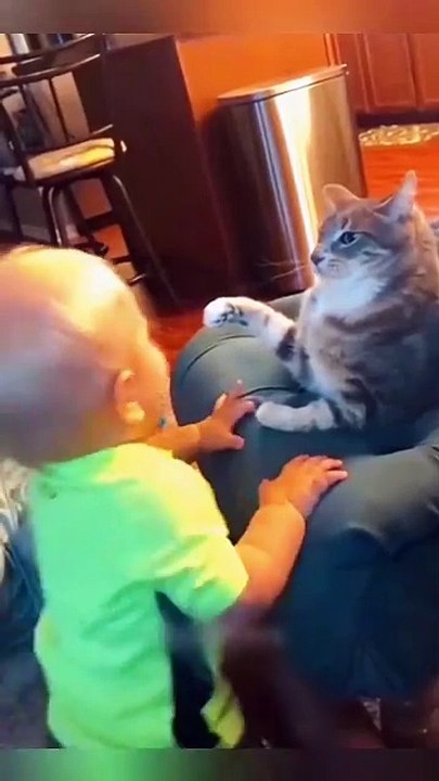 Funny Animal Videos - Compilation 2025
