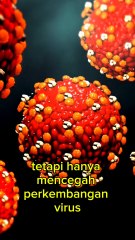 Siapa di Sini yang Belum tahu Bedanya Penyakit Liver dan hepatitis B? Masuk penjelasannya di Sini.