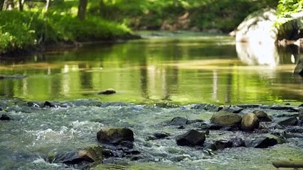 Green Nature Simple Clean A day in My Life Intro Youtube