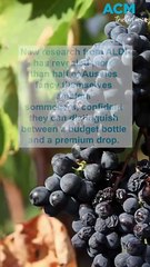 Can wine snobs really tell the difference in ALDI’s undercover taste test?