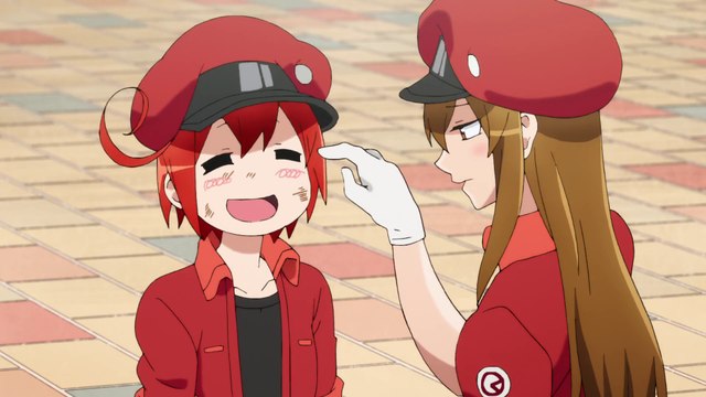 Cells at Work! Season 1 Episode 8